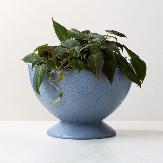 Claudia Blue Cement Indoor/Outdoor Small Pedestal Planter Bowl 8"H