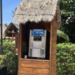 Self serve ice cream