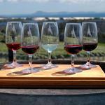 Woodinville Wine Tasting