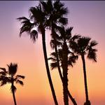 Oceanside Harbor Beach