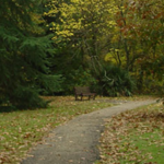 Donald E. Davis Arboretum
