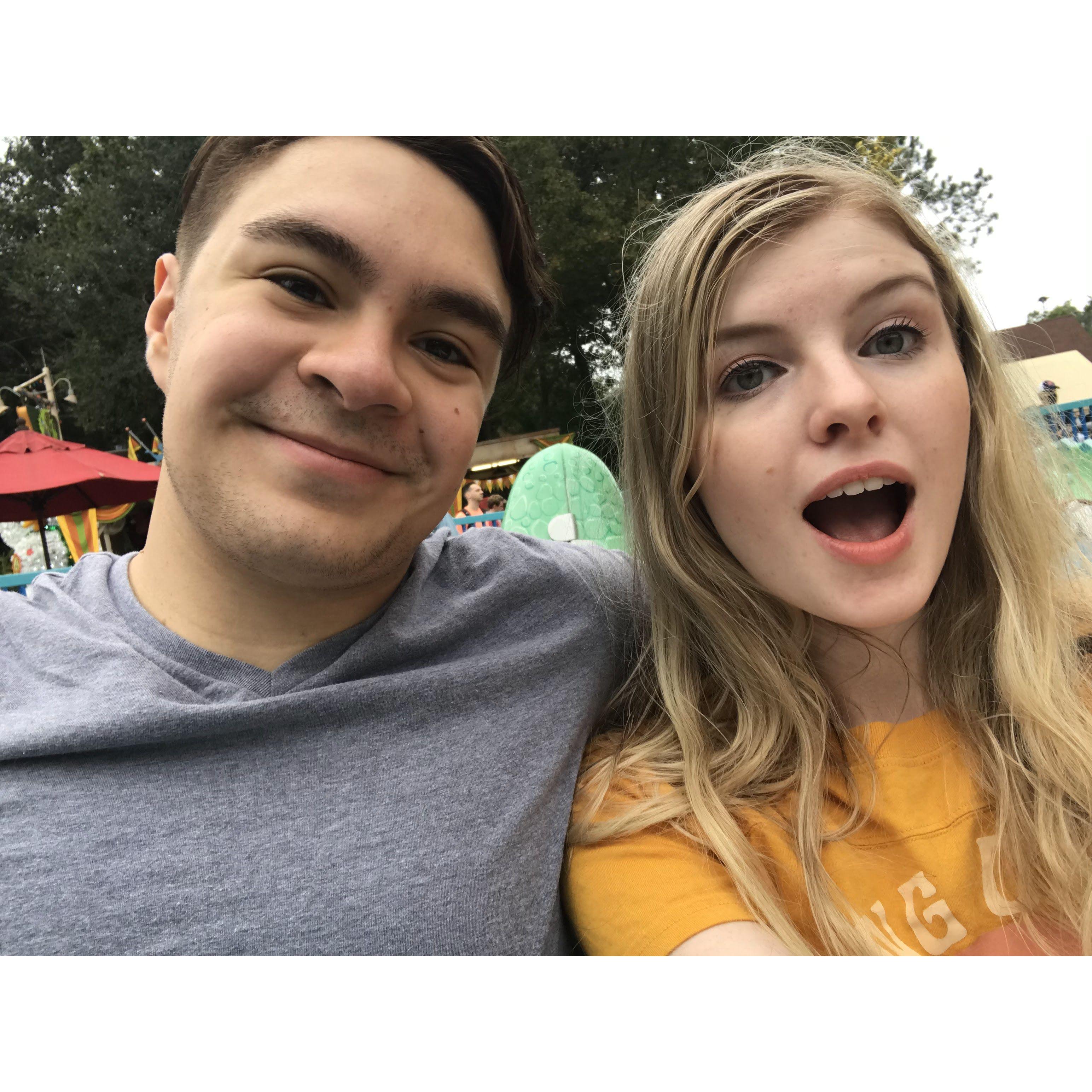 Animal Kingdom - December 2021