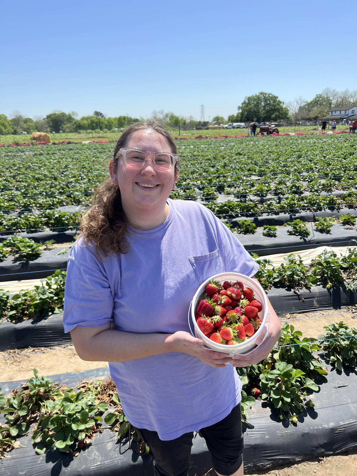 Strawberry picking in Alvin! 🍓