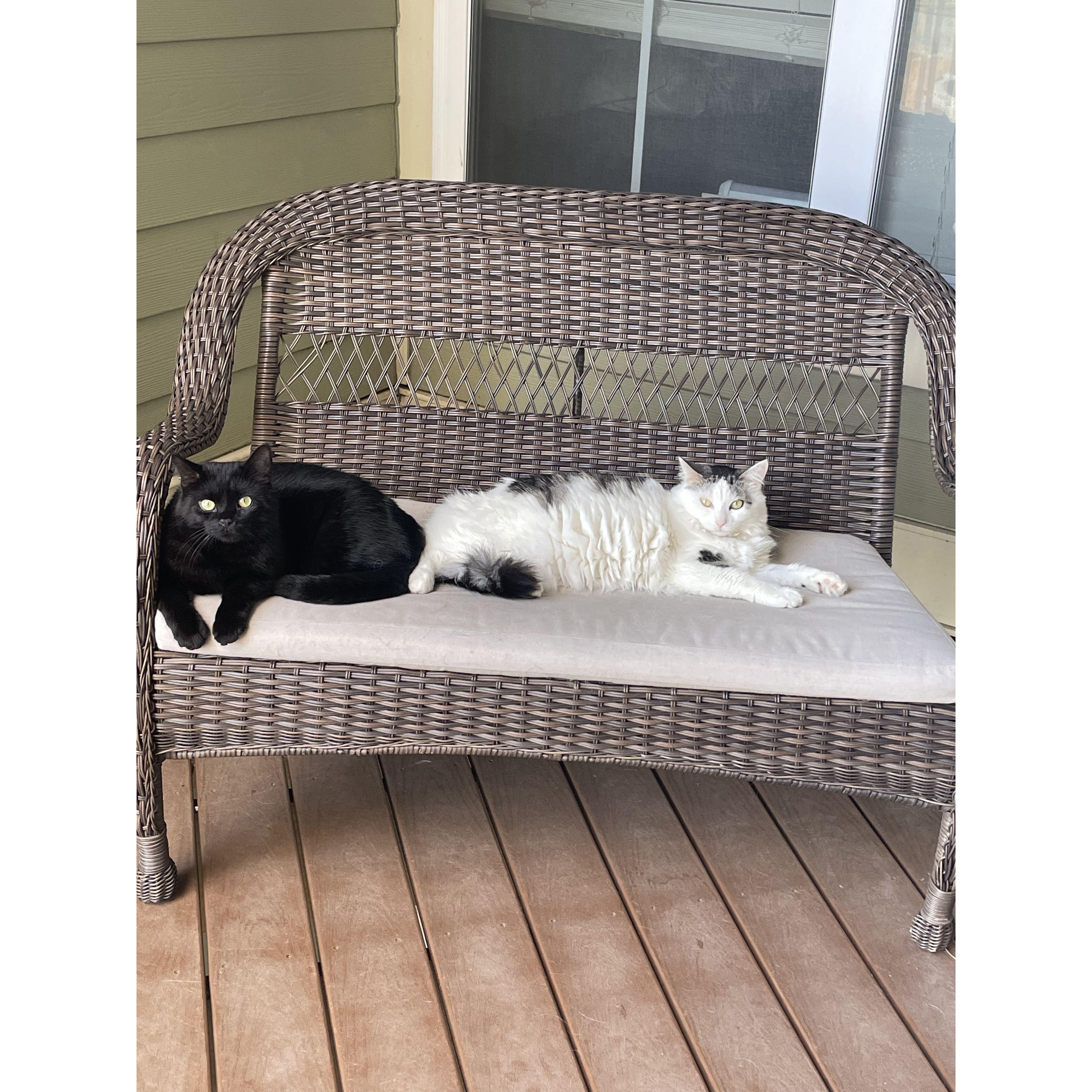 Max and Minnie