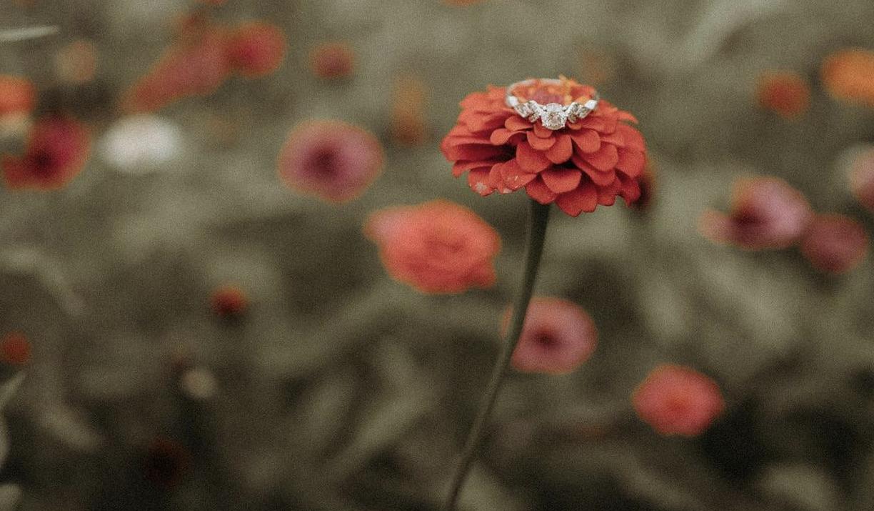 The Wedding Website of Ainsley McIntire and Jeremy Stockdill