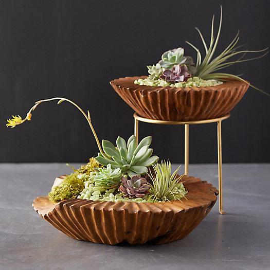 Ridged Teak Bowl Planter