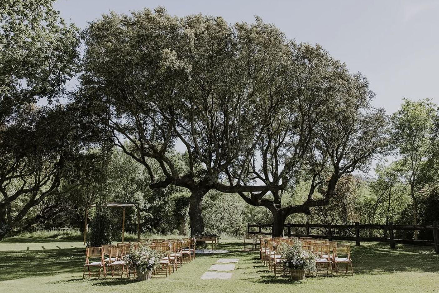 The Wedding Website of Ines Castro and Felix Törnblom