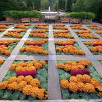 The North Carolina Arboretum