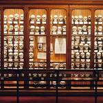 The Mütter Museum at The College of Physicians of Philadelphia