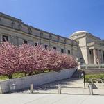 Brooklyn Museum