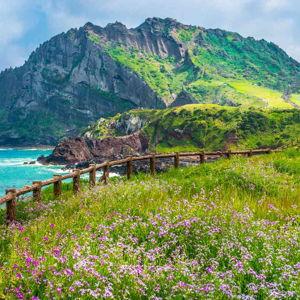 Honeymoon trip to Jeju Island