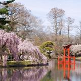Brooklyn Botanic Garden