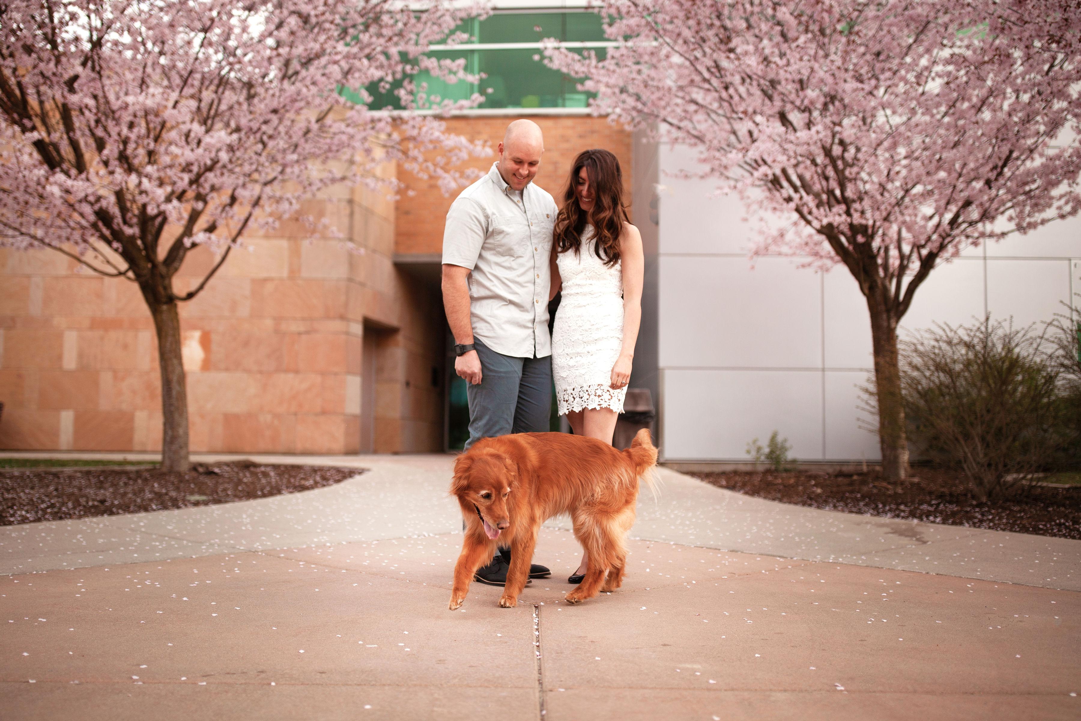 The Wedding Website of Jackie Casey and Jeff Hansen