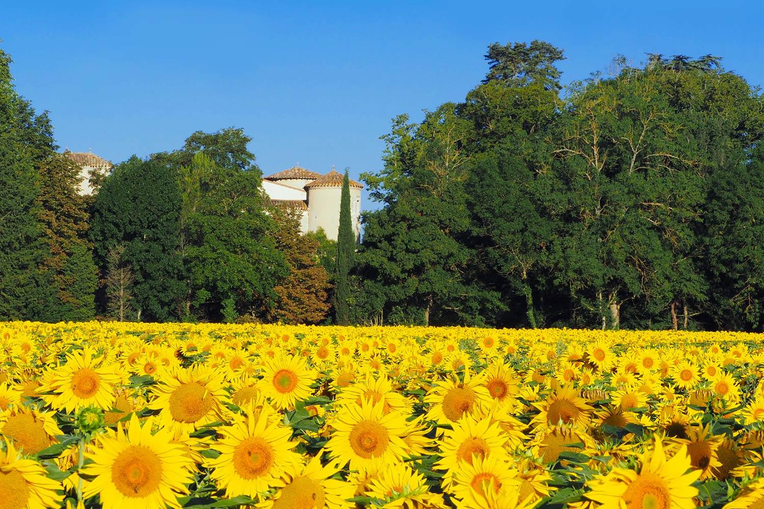 The Wedding Website of Jen Connell and Shane Keyes