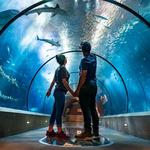 Oregon Coast Aquarium