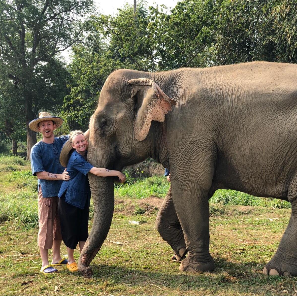 Snuggling elephants in Thailand (Feb 2018)