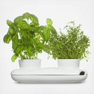 Duo Herb Pot