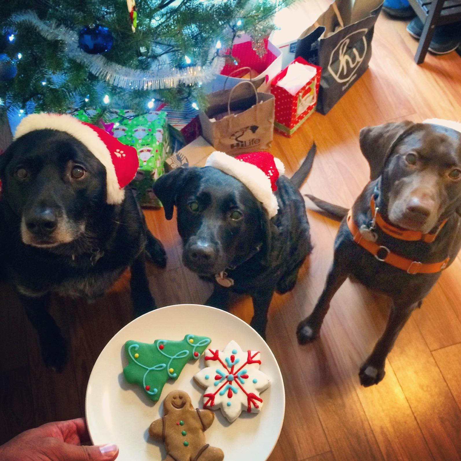 Christmas with our favorite Copine girls