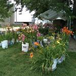 Gloria's Garden, S9417 US-12, Prairie Du Sac, WI 53578