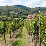 EXPLORE TUSCAN WINE COUNTRY