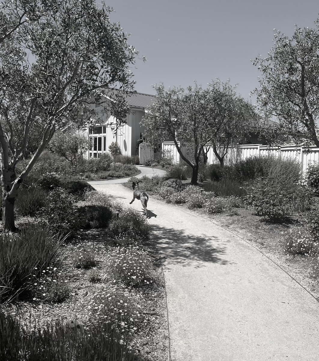 The Wedding Website of Marin Lockwood and Curtis Wigginton