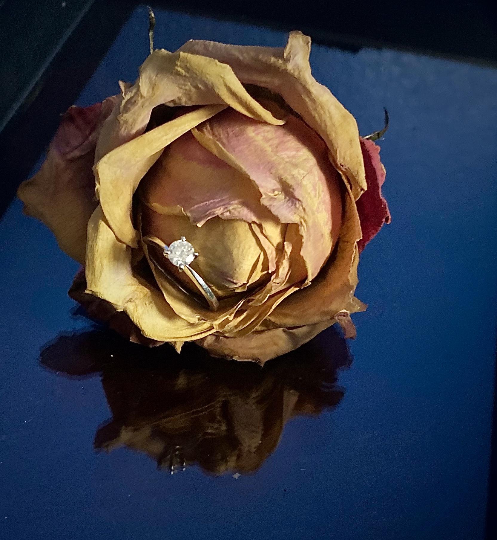 6f51a9ae-75a9-41ad-933e-02f8aa8f9764