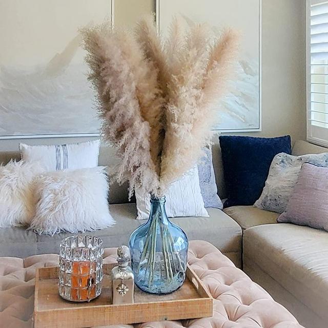 Sunshine Marigolds Six (6) Tall Stems 4ft Long (48") Large Pampas Grass 2021 Best Award Jumbo Extra-Fluffy Plumes Naturally Dried for Home Decor, Wedding, Gifts, Boho Decor, Floral Arrangements
