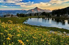 The Wedding Website of Molly Thrush and Ryan Holody