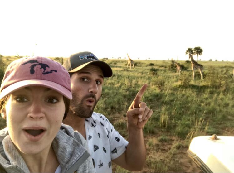 Giraffes in South Africa 🇿🇦