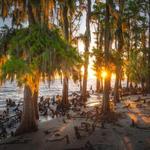 Fontainebleau State Park