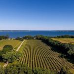 Long Island Wine Country