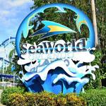 Sea World