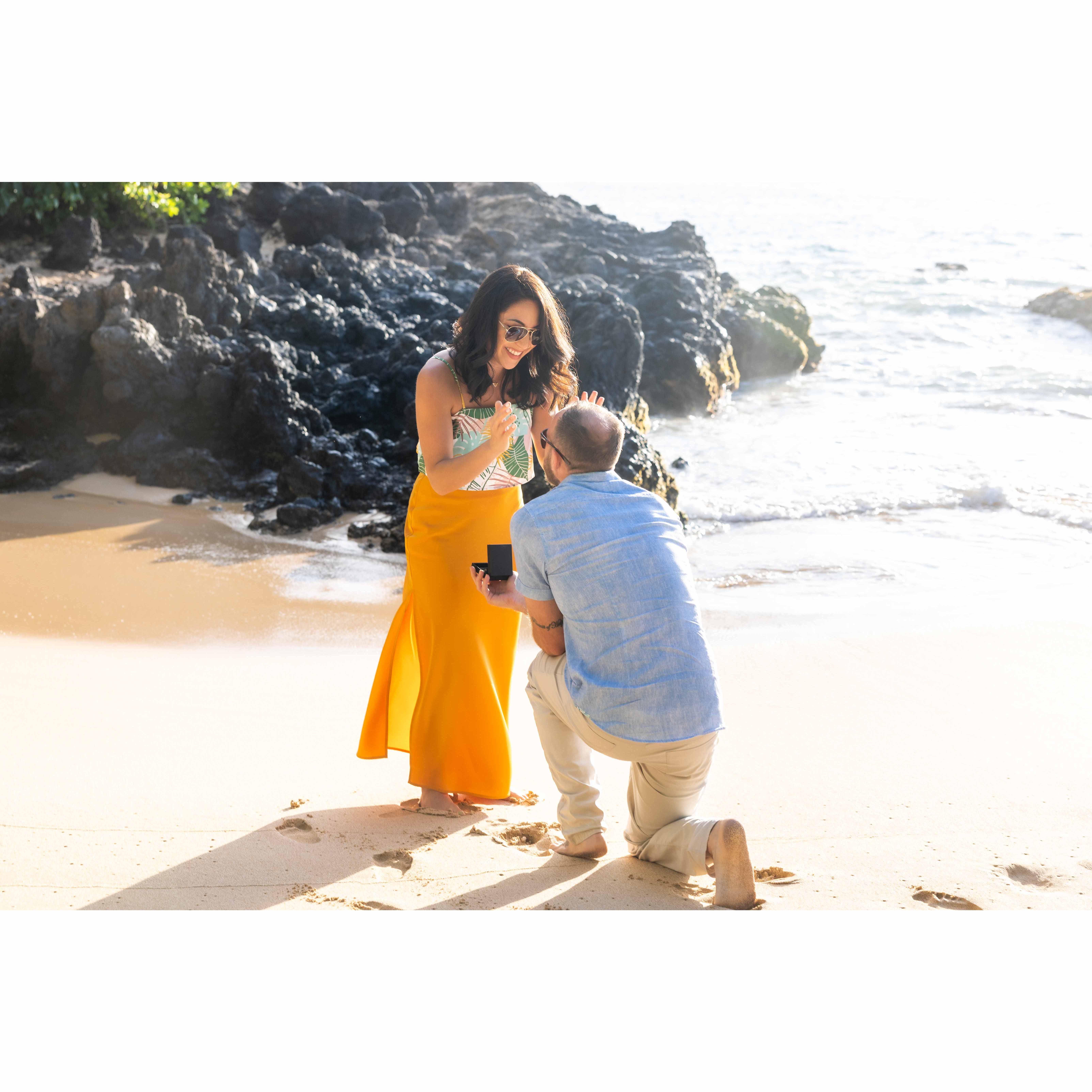 Robert's proposal at Secret's Beach in Maui - October 2022