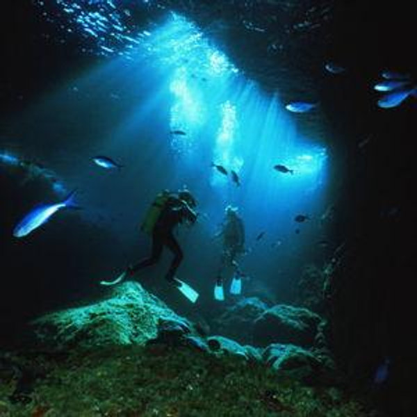 Scuba Diving