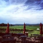 Elmaro Vineyard