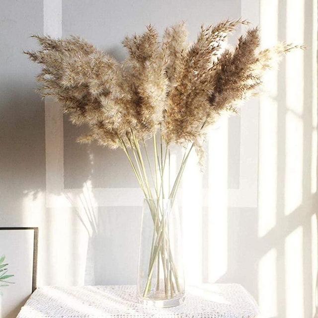 Natural Dried Flowers Bundles - Natural Dried Pampas Grass Brown Bouquet Boho Decoration for Home Decoration, Photo Props - Dried Bunny Tails Pampas for Flower Arrangements Wedding Home Decor (30Pcs)