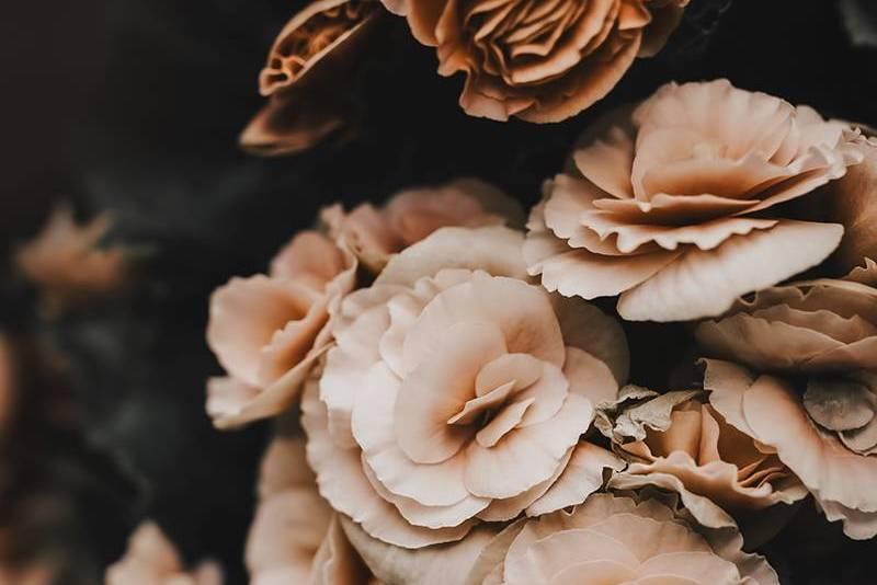 The Wedding Website of Kasey Annis and Stephen Pham