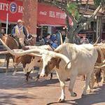 Fort Worth Stockyards