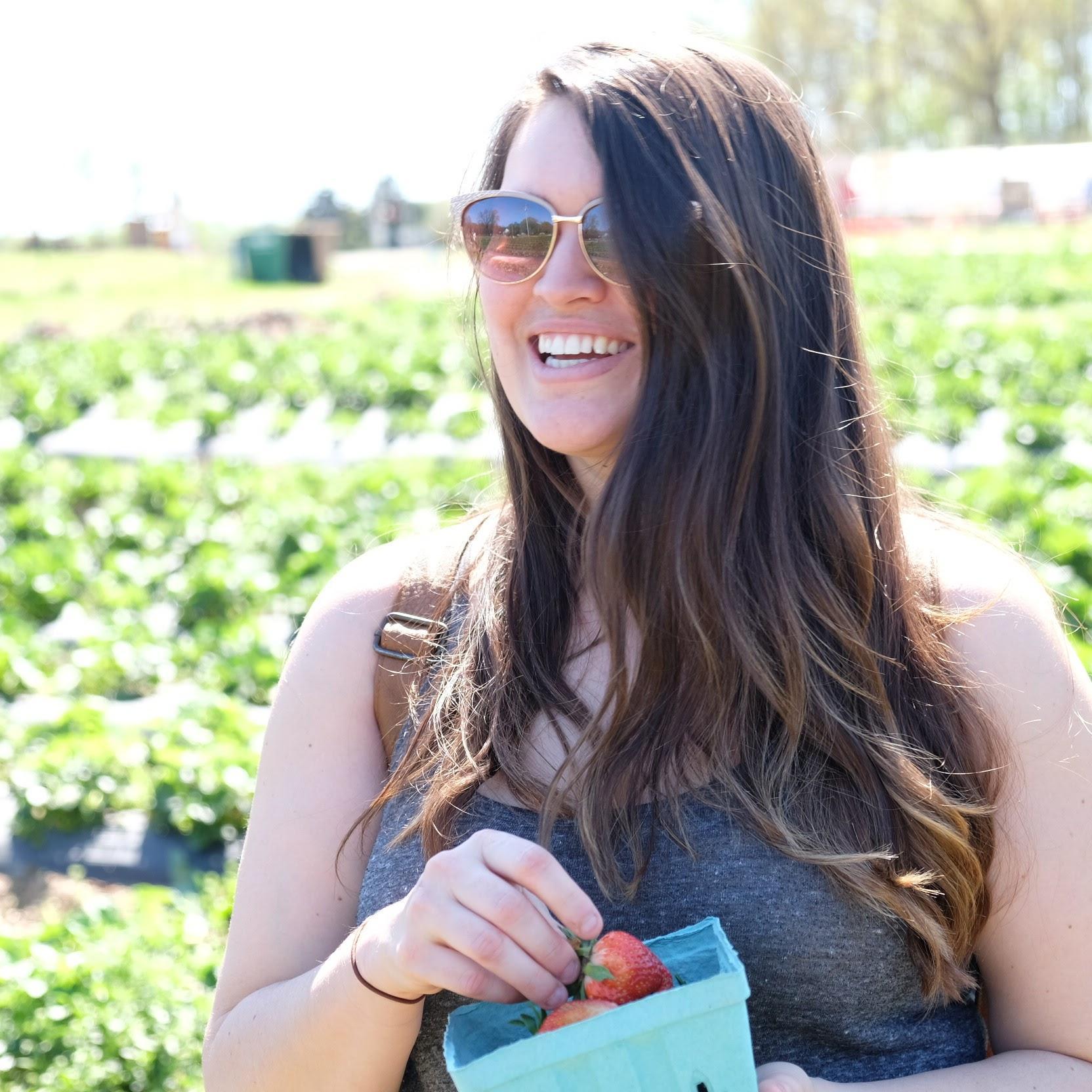 Picking strawberries near Indian Trail, NC