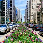 Magnificent Mile
