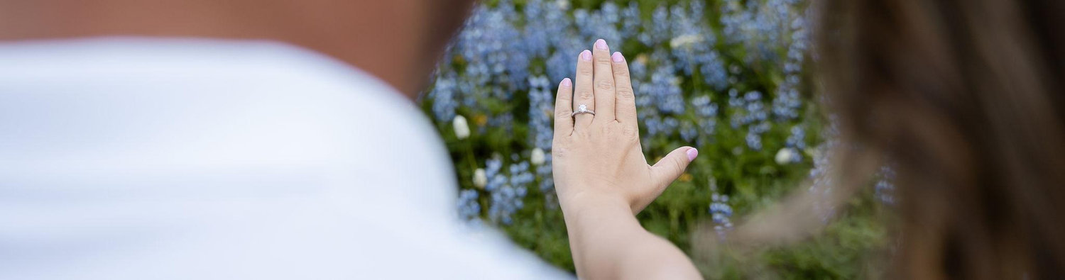 The Wedding Website of Melanie Rose and Anthony Valeta