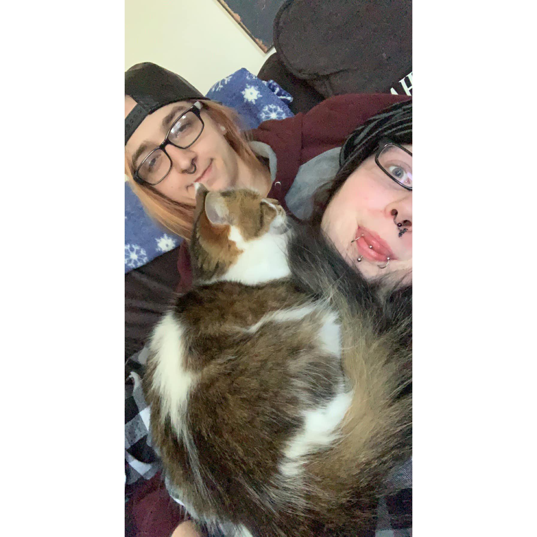 Cuddle pile with Akasha.
