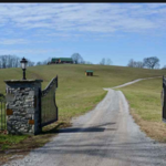 Spout Spring Estates Winery and Vineyard