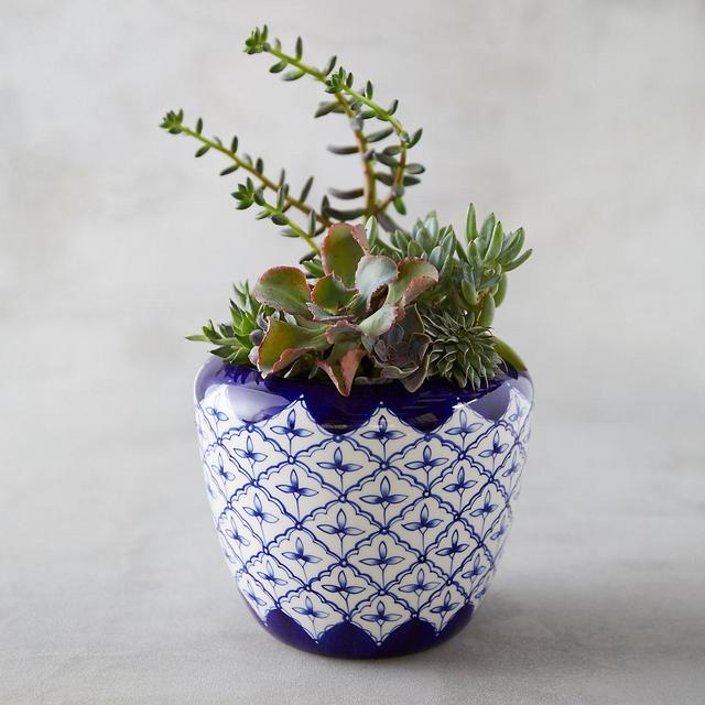 Chinoiserie Jar