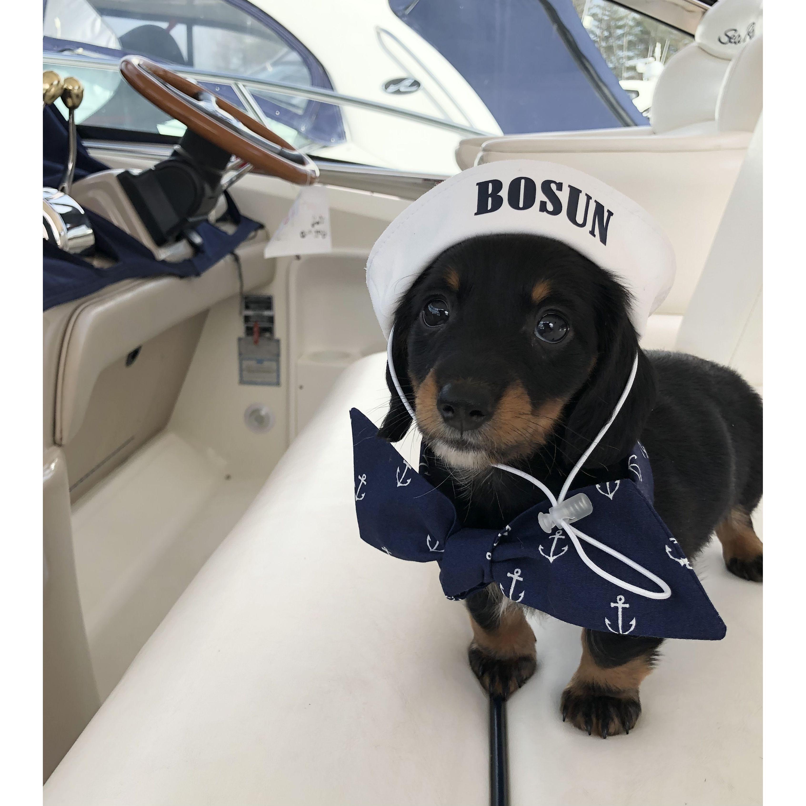 The day we brought Bosun home! First stop, the boat!