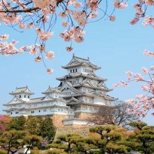 Japan Honeymoon Fund