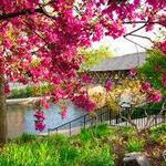 Naperville Riverwalk