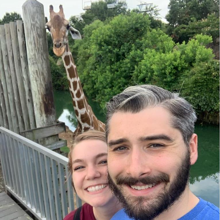 We like giraffes.