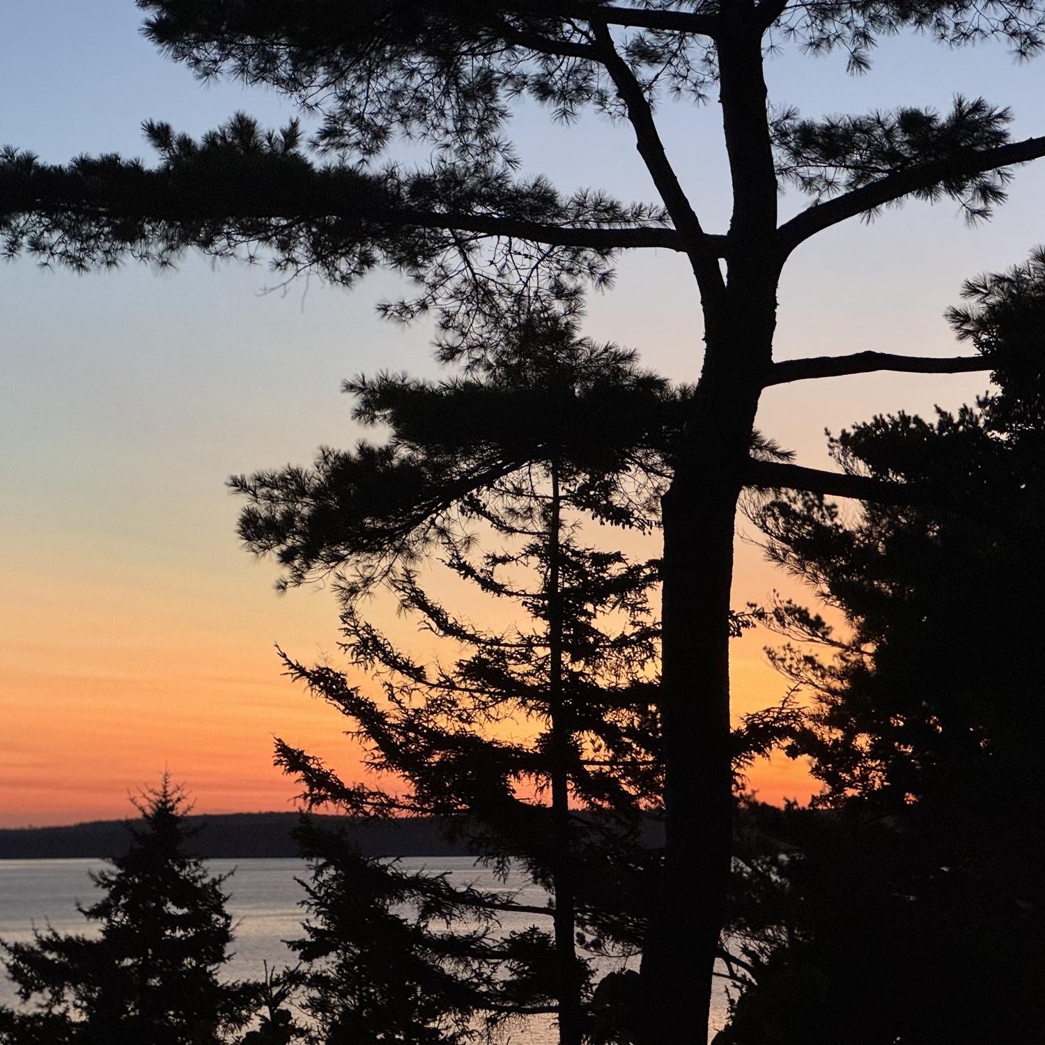 Sunrise from the downstairs porch at Cedar Ledge (work all-nighters are way more fun in Acadia!)