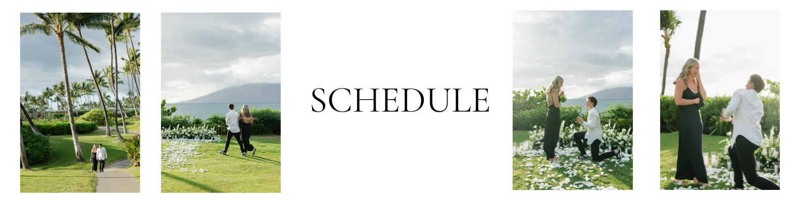 The Wedding Website of Amanda Vos and Zach Mickelson